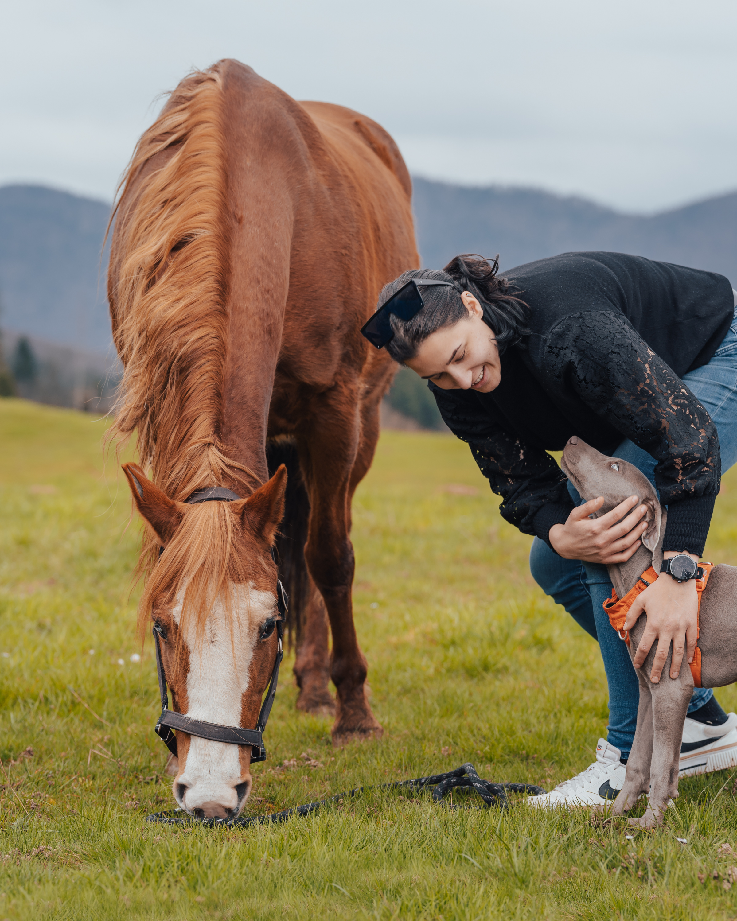 Martina horse